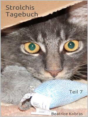 cover image of Strolchis Tagebuch, Teil 7